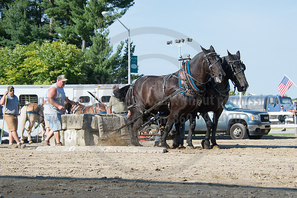 2016DCF_08242016_SCL_9469