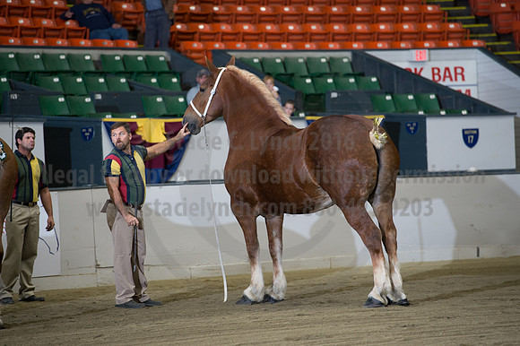 NABC8_10132016_SCL_5103