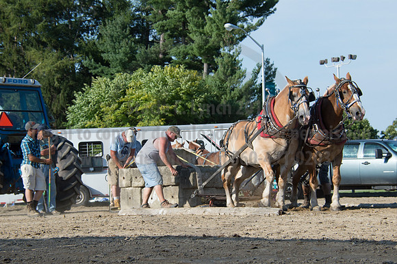 2016DCF_08242016_SCL_9556