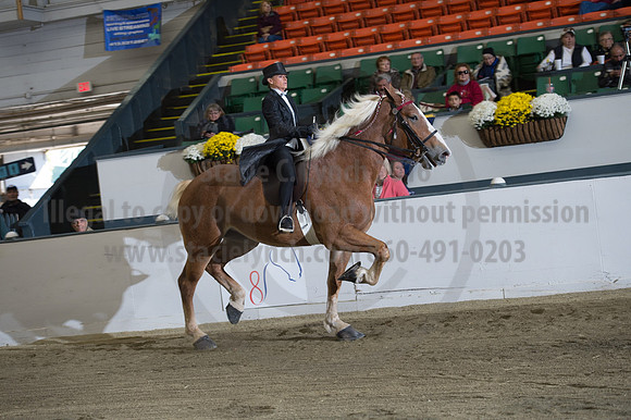 NABC8_10152016_SCL_0621