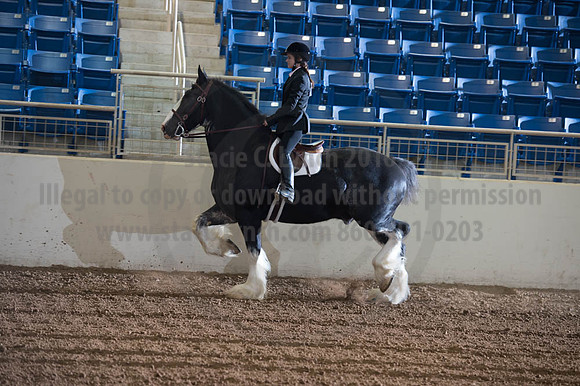 2016 _KILE_10082016_SCL9280