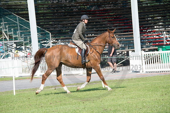 2016DCF_08242016_SCL_8569