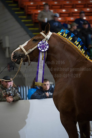 NABC8_10122016_SCL_4121