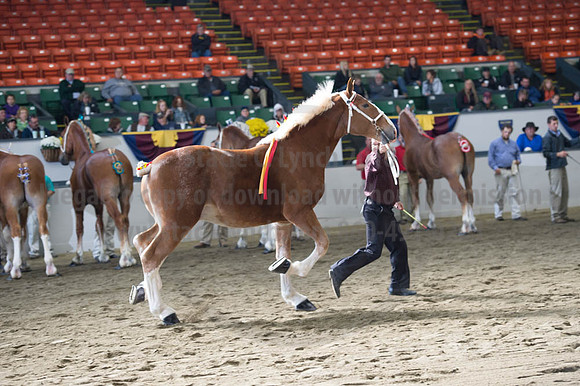NABC8_10122016_SCL_2827