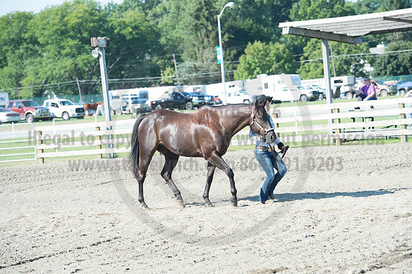 2016DCF_08272016_SCL_1021