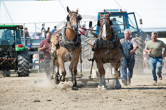 2016DCF_08242016_SCL_9366