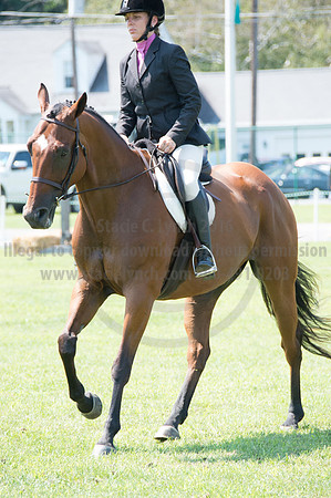 2016DCF_08242016_SCL_8968