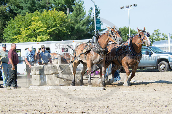 2016DCF_08242016_SCL_9436