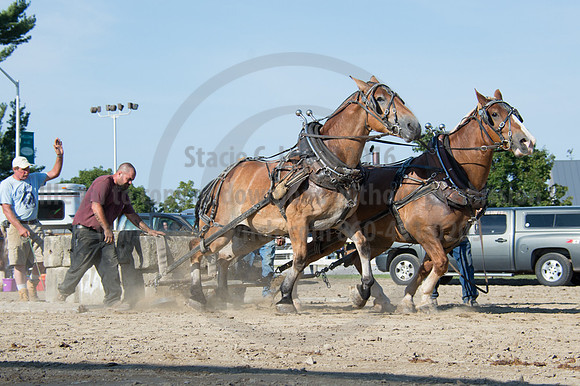 2016DCF_08242016_SCL_9491