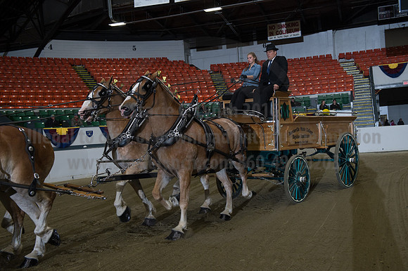 NABC8_10132016_SCL_7745