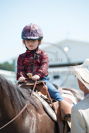 2016DCF_08272016_SCL_1200