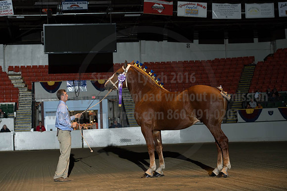 NABC8_10122016_SCL_4093