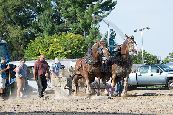 2016DCF_08242016_SCL_9513