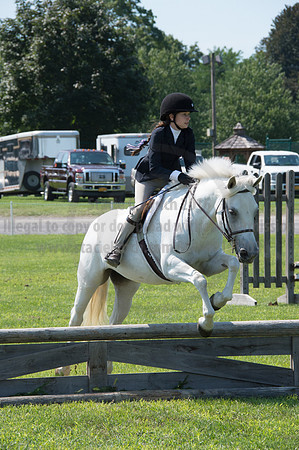 2016DCF_08242016_SCL_8778