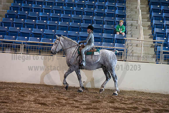 2016 _KILE_10082016_SCL9445