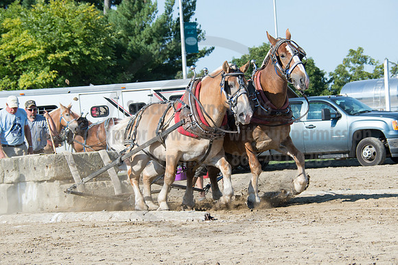 2016DCF_08242016_SCL_9450