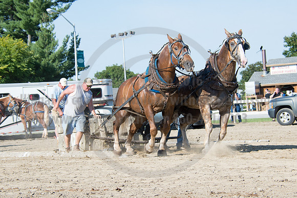 2016DCF_08242016_SCL_9458