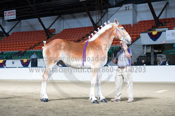 NABC8_10122016_SCL_2901