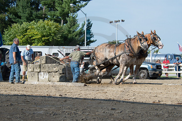 2016DCF_08242016_SCL_9531