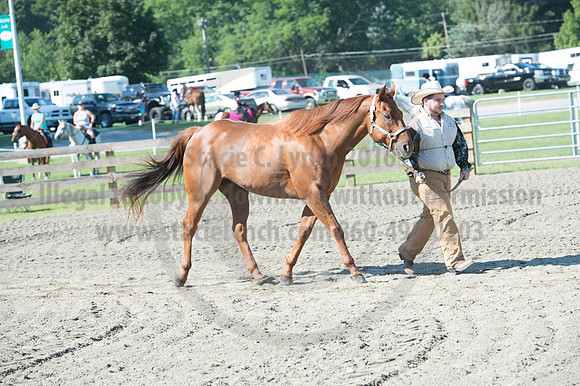 2016DCF_08272016_SCL_1061