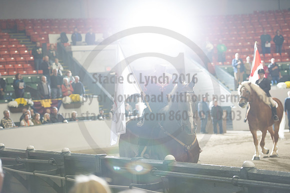NABC8_10132016_SCL_7029