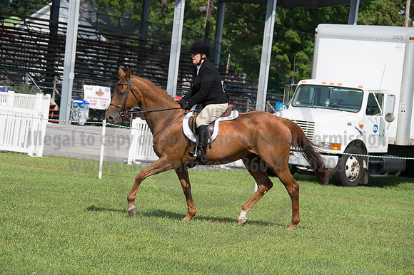 2016DCF_08252016_SCL_9715