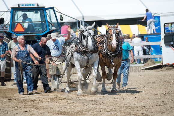 2016DCF_08242016_SCL_9137