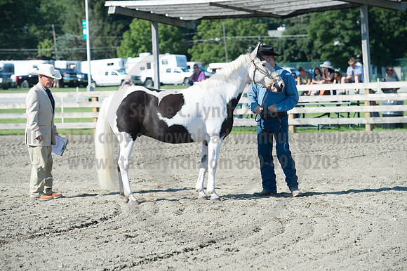 2016DCF_08272016_SCL_1030