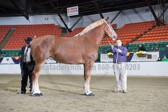 NABC8_10132016_SCL_5274
