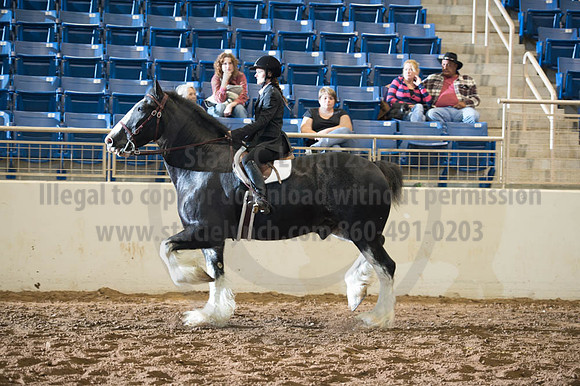 2016 _KILE_10082016_SCL9294