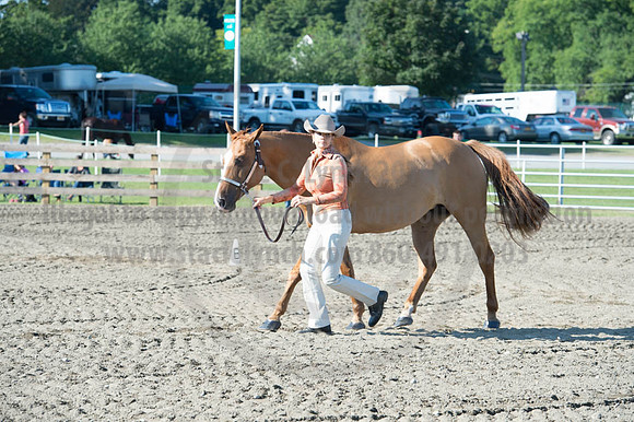 2016DCF_08272016_SCL_0969