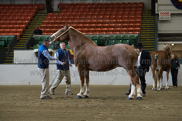NABC8_10132016_SCL_5039