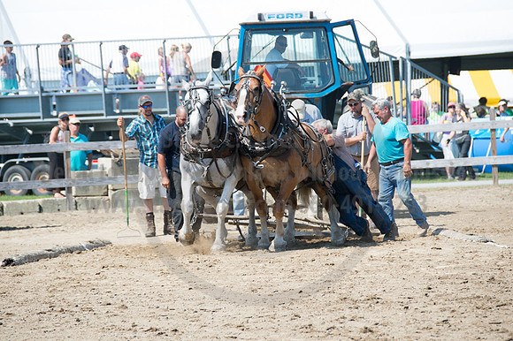 2016DCF_08242016_SCL_9198