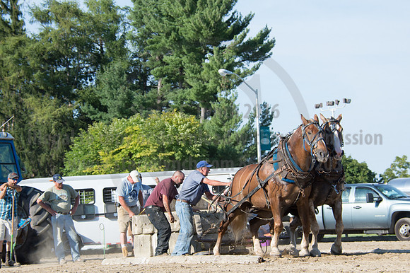2016DCF_08242016_SCL_9520