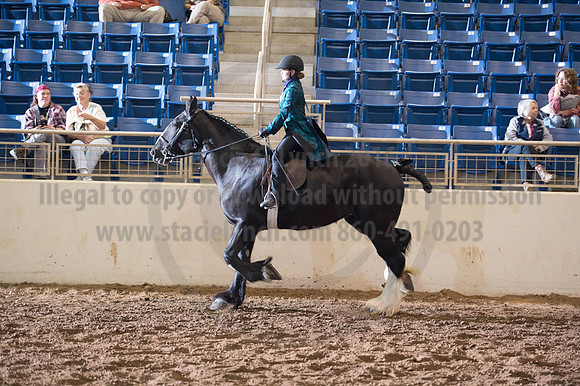 2016 _KILE_10082016_SCL9396