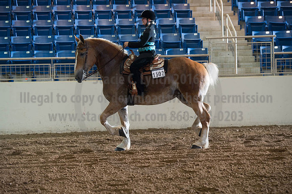 2016 _KILE_10082016_SCL9518