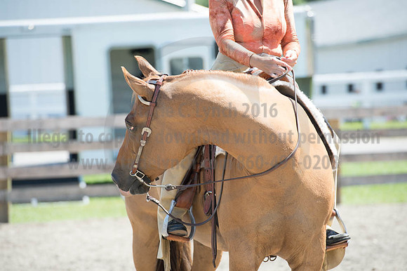 2016DCF_08272016_SCL_1321