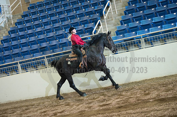 2016 _KILE_10082016_SCL9462