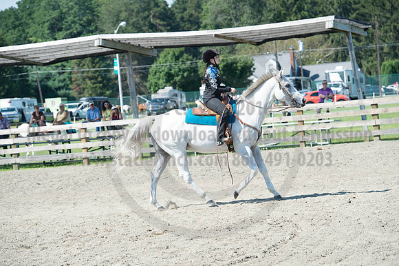 2016DCF_08272016_SCL_1129