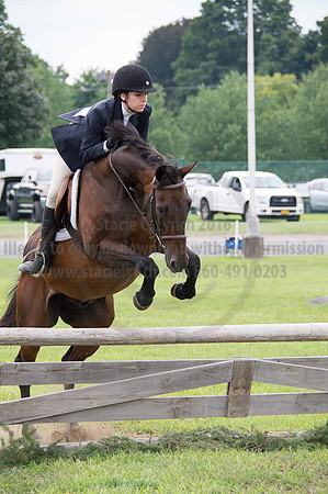 2016DCF_08252016_SCL_9952