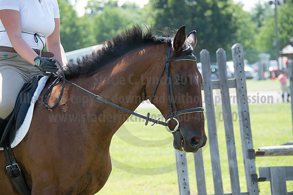 2016DCF_08262016_SCL_0637