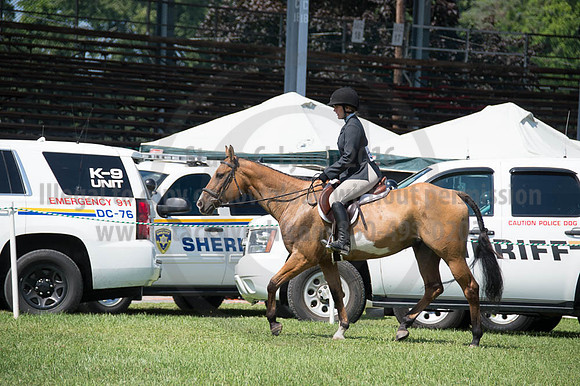 2016DCF_08262016_SCL_0466