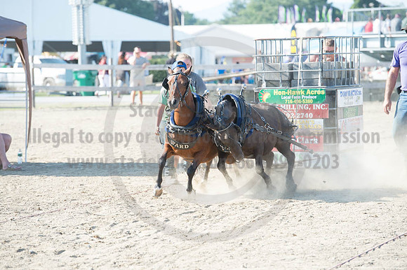 2016DCF_08272016_SCL_1466
