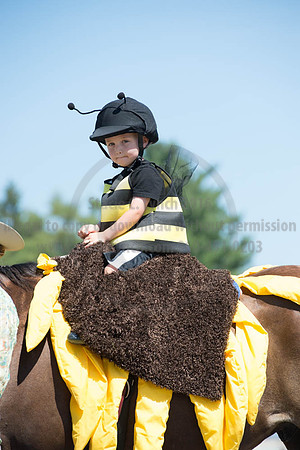 2016DCF_08272016_SCL_1266