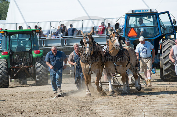 2016DCF_08242016_SCL_9369