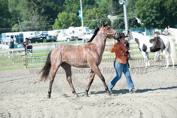 2016DCF_08272016_SCL_1064