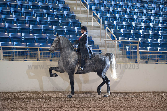 2016 _KILE_10082016_SCL9283