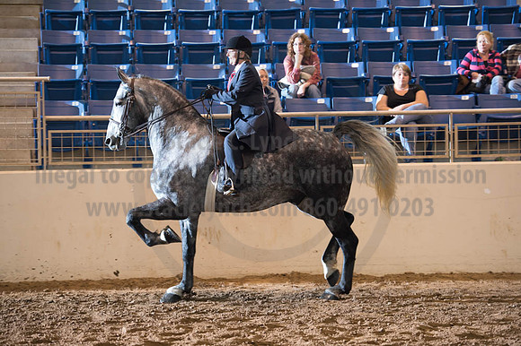 2016 _KILE_10082016_SCL9290