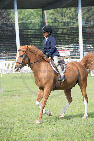 2016DCF_08262016_SCL_0286