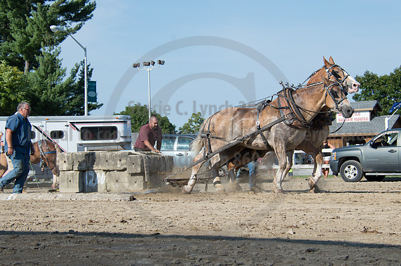 2016DCF_08242016_SCL_9478